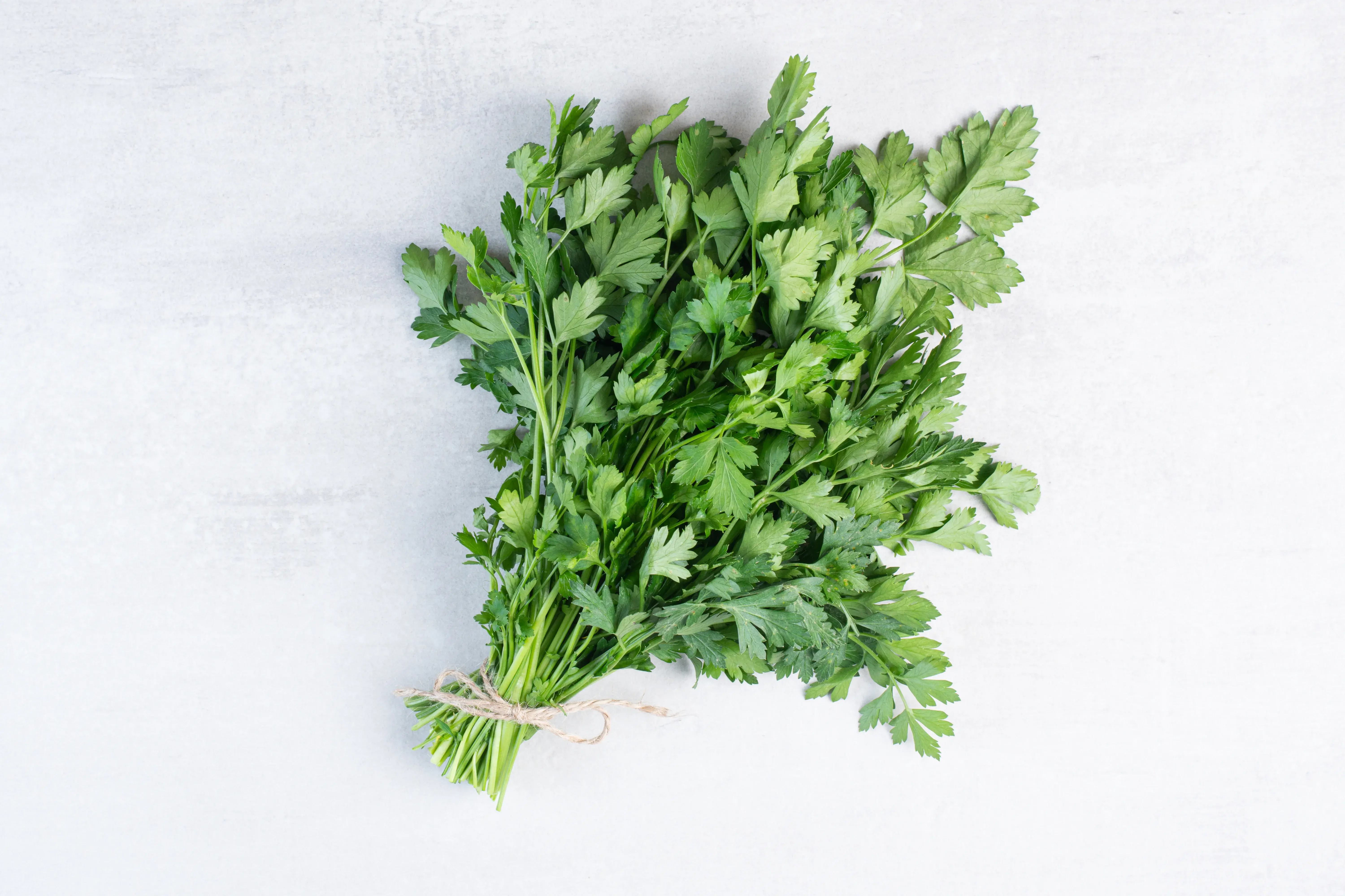 Coriander Powder